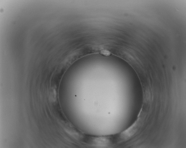 X0000062930183200601202036