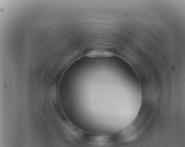 X0000062930184200601202036