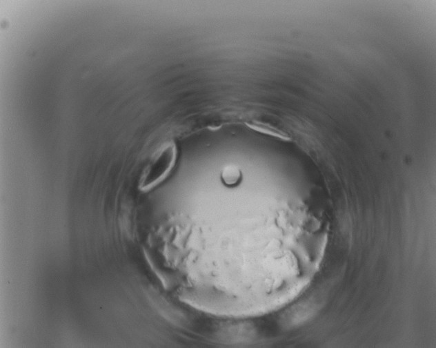 X0000062930185200601202036