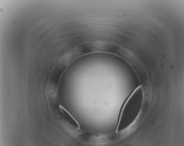 X0000062930186200601202036