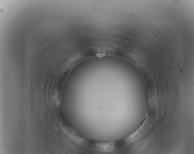 X0000062930187200601202036