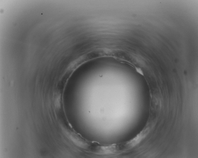 X0000062930188200601202036