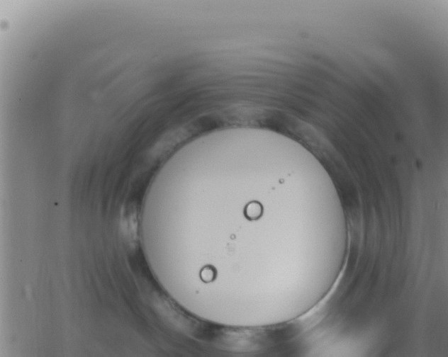 X0000062930190200601202036