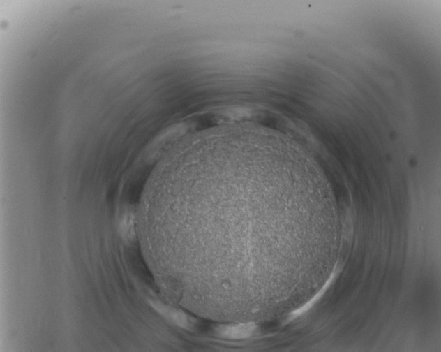 X0000062930191200601202036