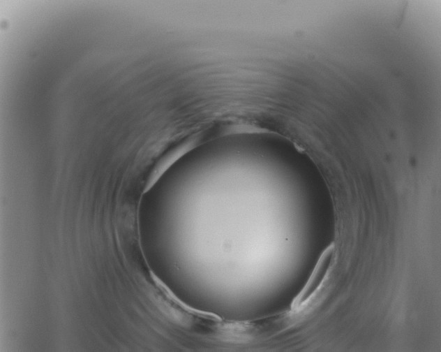 X0000062930192200601202036