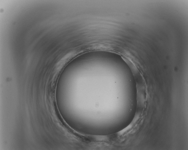 X0000062930193200601202035