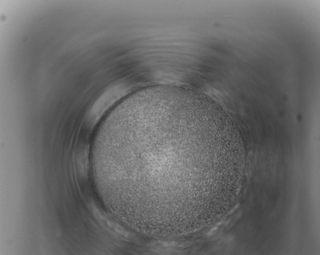 X0000062930194200601202035