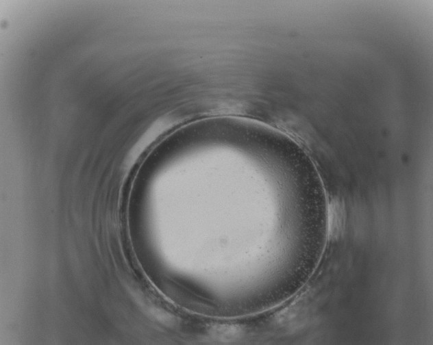 X0000062930195200601202035