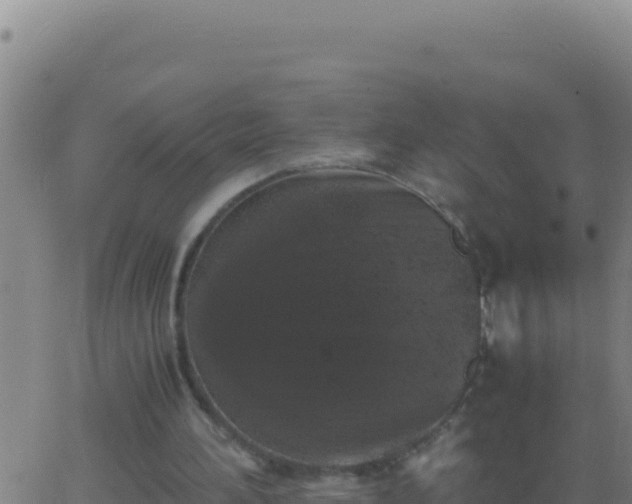 X0000062930196200601202035