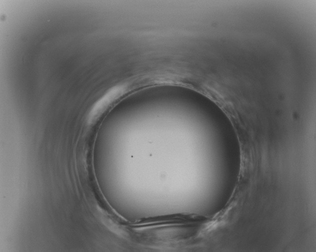 X0000062930197200601202035