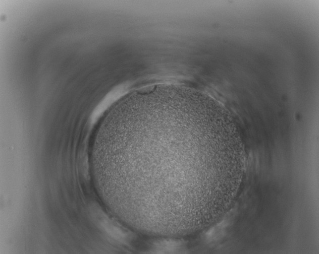 X0000062930198200601202035