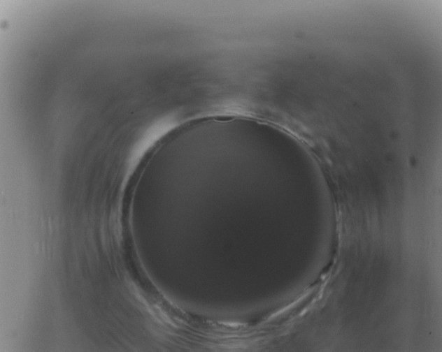 X0000062930200200601202035