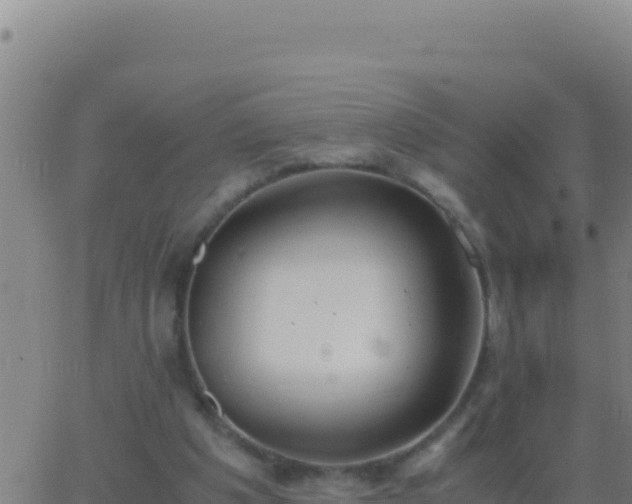 X0000062930201200601202035