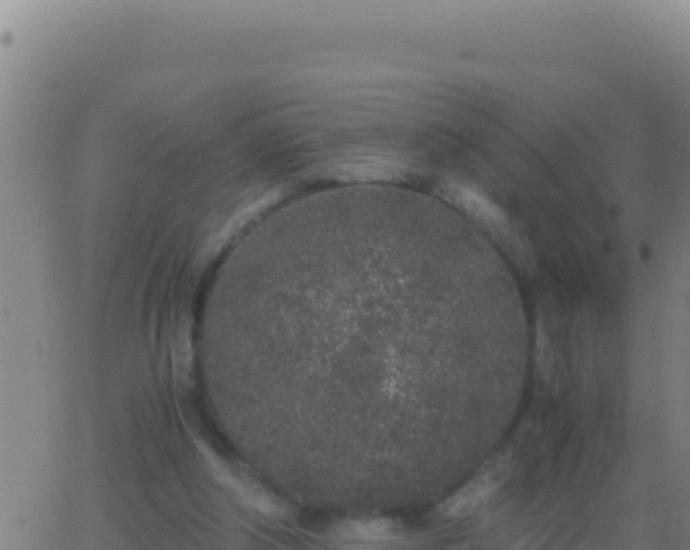 X0000062930202200601202035