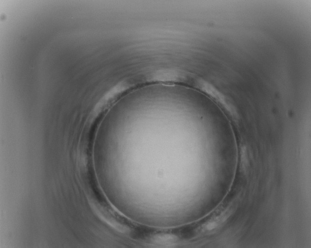 X0000062930203200601202035