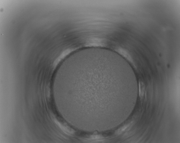 X0000062930204200601202035