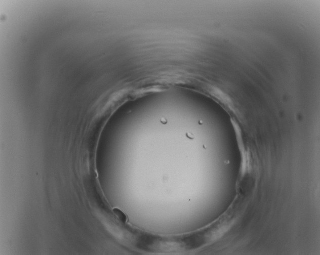 X0000062930205200601202035