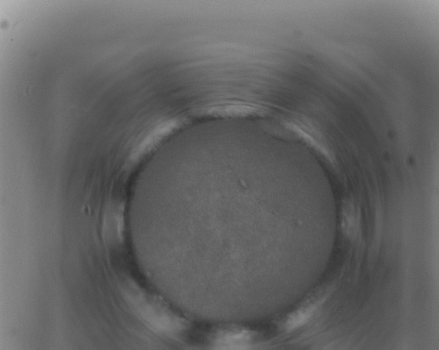 X0000062930206200601202035