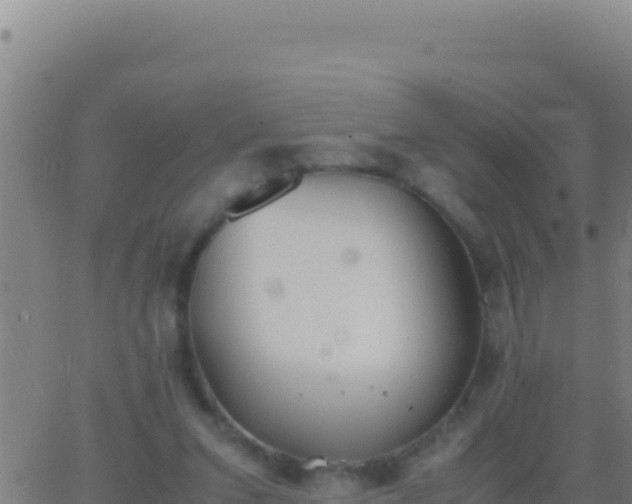 X0000062930207200601202035