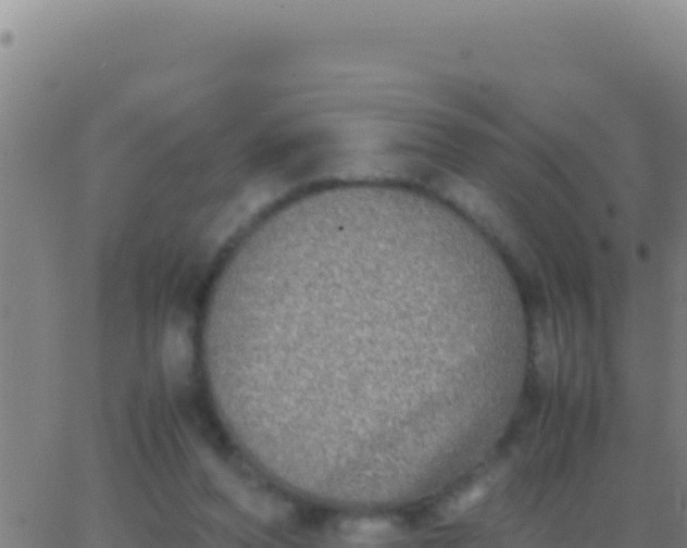 X0000062930208200601202035