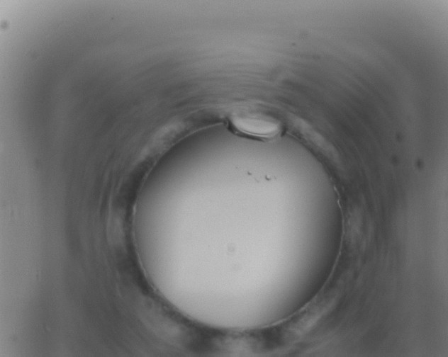 X0000062930209200601202035