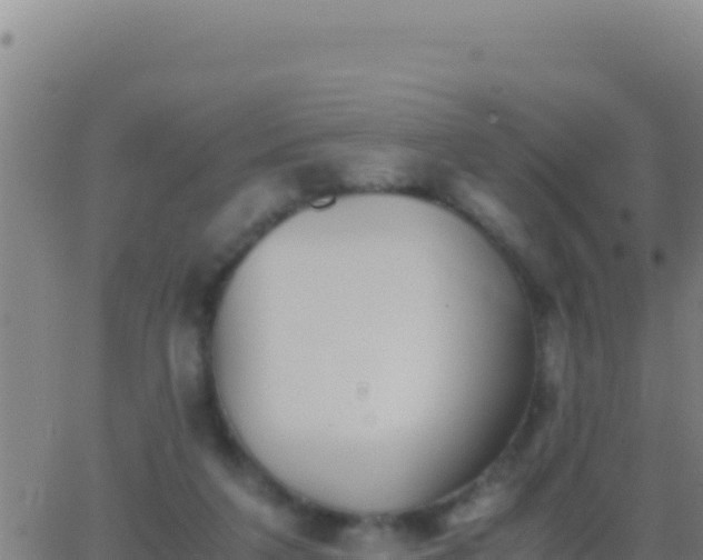 X0000062930211200601202035