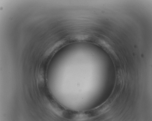 X0000062930212200601202035