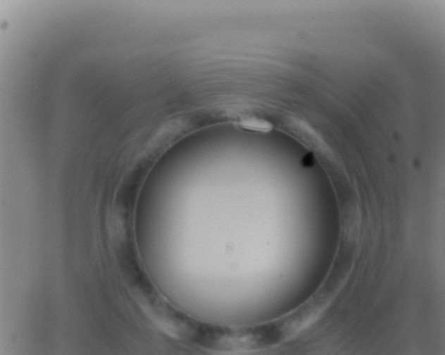 X0000062930213200601202035