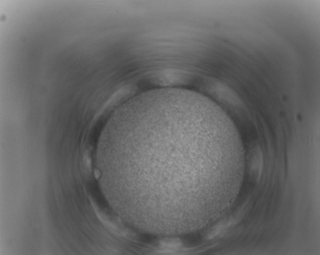 X0000062930214200601202035