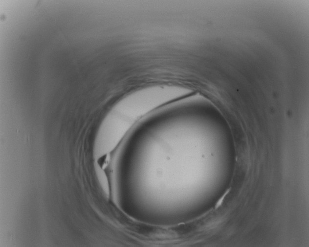 X0000062930215200601202035