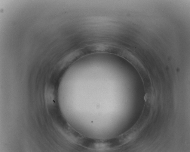 X0000062930216200601202035