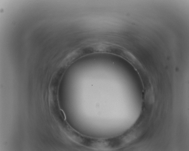 X0000062930217200601202035