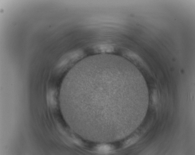 X0000062930218200601202035