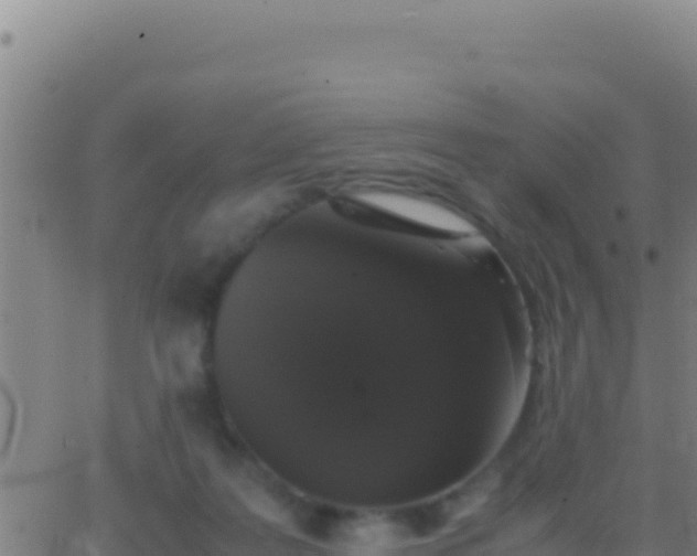 X0000062930219200601202035