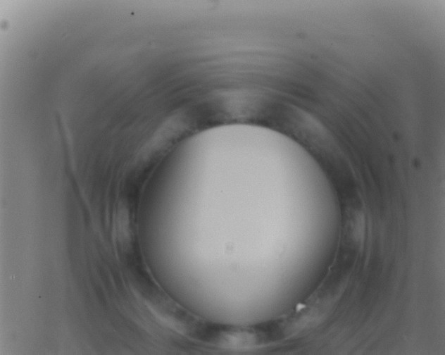 X0000062930220200601202035