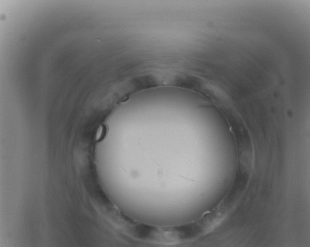 X0000062930221200601202035