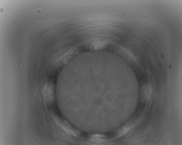 X0000062930222200601202035