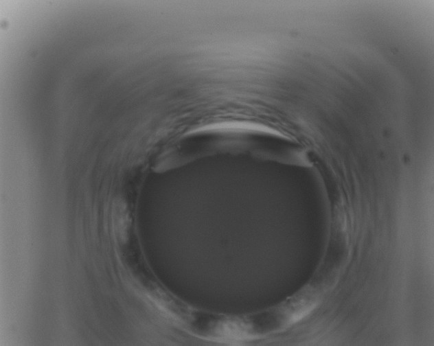 X0000062930223200601202035