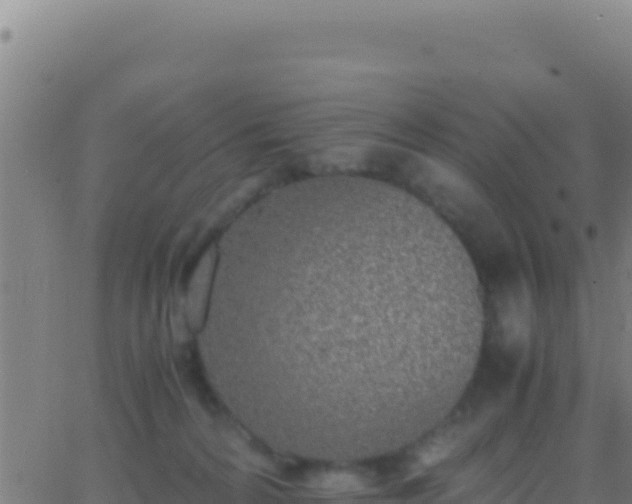 X0000062930224200601202035