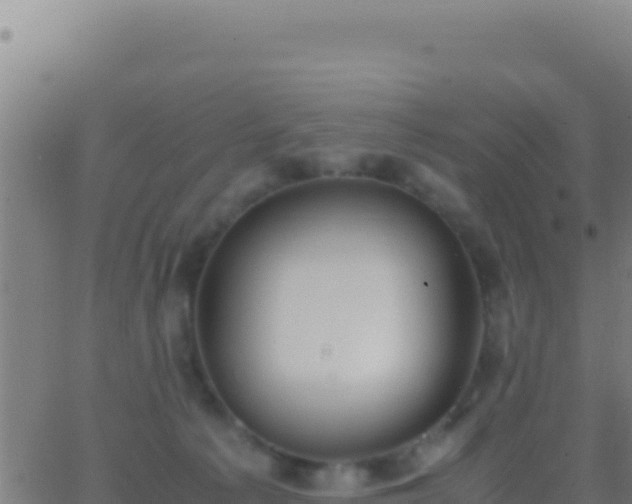 X0000062930225200601202035