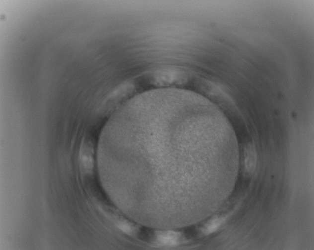 X0000062930226200601202035