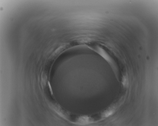 X0000062930227200601202035