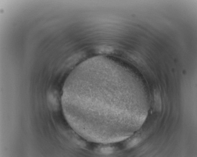 X0000062930228200601202035