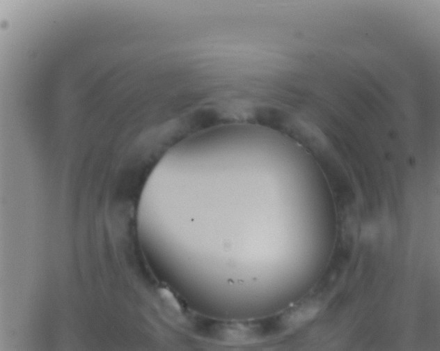 X0000062930229200601202035