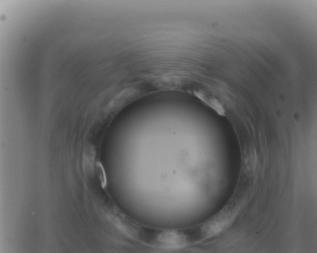 X0000062930231200601202035