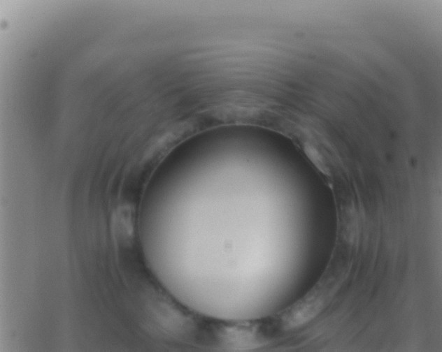 X0000062930232200601202035