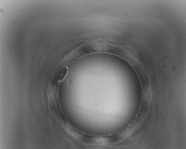 X0000062930233200601202035