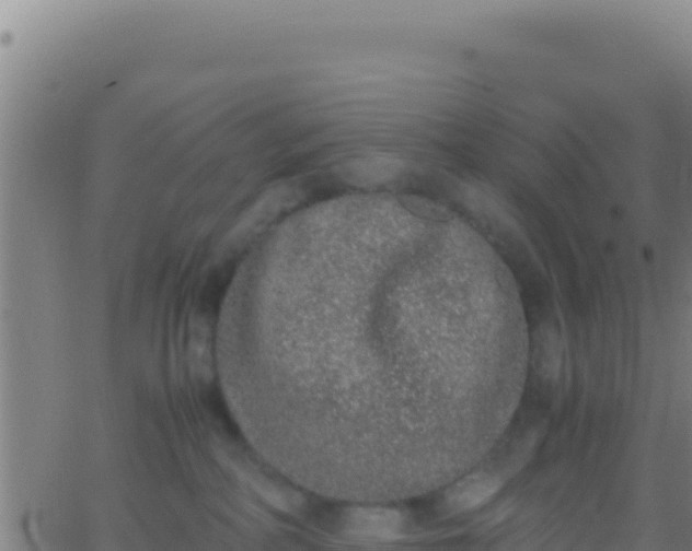 X0000062930234200601202035