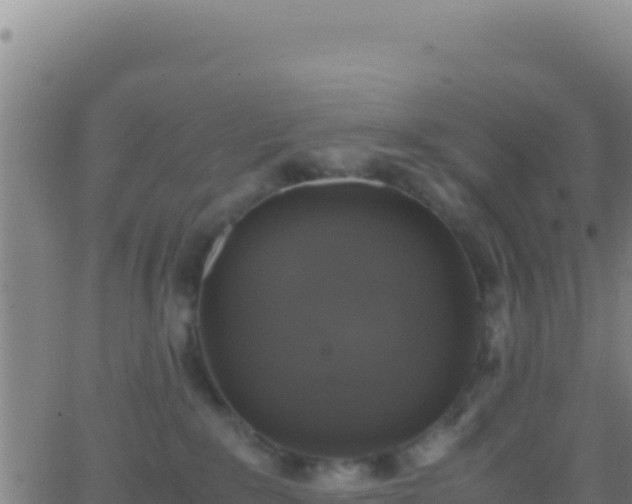 X0000062930235200601202035