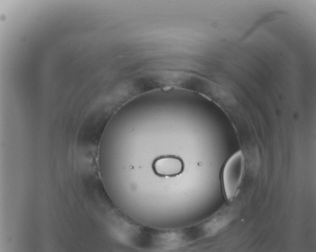 X0000062930237200601202035